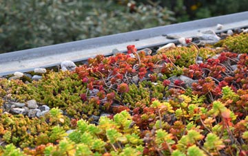 the cost of Six Hills green roof installation