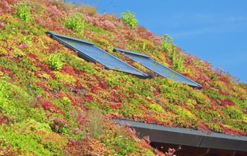 Six Hills living roof systems